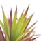 Pink &#x26; Green Agave Pick by Ashland&#xAE;